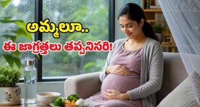 తడి, పొడి ఏదయినా నో ప్రాబ్లమ్.. బెస్ట్ వెట్ అండ్ డ్రై వాక్యూమ్ క్లీనర్స్ లిస్ట్ ఇదిగో!