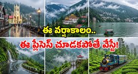 బడ్జెట్ ధరలో అదిరిపోయే సౌండ్.. టాప్ 5 మివి ఇయర్‌బడ్స్ ఇవే!