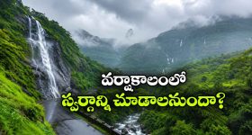 జూనియర్ ఎన్టీఆర్ చుట్టూ ఆ ముగ్గురు...RAW NTR ఆర్గనైజేషన్ సంచలన ఆరోపణలు!!