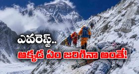 కేటీఆర్‌కు బర్త్‌డే కానుకగా సన్నబియ్యం.. మెట్టు సాయి కుమార్ సంచలన వ్యాఖ్యలు
