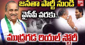 అరటి చెట్టు లైఫ్ సైకిల్ వెనక ఉన్న వింత నిజాలు.. రైతులకు మాత్రమే కాదు మీకూ తెలియాలి!