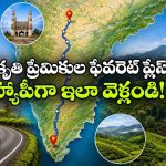 సౌత్ ఇండియన్ కాశ్మీర్ ‘మున్నార్’.. హైదరాబాద్ నుంచి ఈ హిల్ స్టేషన్ కు వెళ్లాలంటే?
