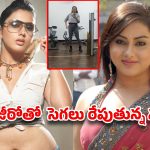 గుర్తుపట్టలేనంతగా మారిపోయిన బాలయ్య భామ..టార్గెట్ సెకండ్ ఇన్నింగ్స్ ?