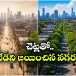 ఆకుపచ్చ నగరంగా మారిన కాంక్రీట్ జంగిల్‌.. ఇది కదా నిజమైన గ్రీన్ రివల్యూషన్ అంటే!