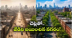రూ. 899 కే 50 గంటల బ్యాటరీ..ట్రెండ్ సెట్ చేస్తున్న ఇయర్‌బడ్స్!