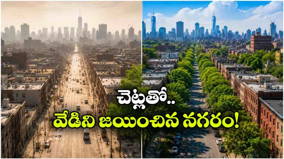 ఆకుపచ్చ నగరంగా మారిన కాంక్రీట్ జంగిల్‌.. ఇది కదా నిజమైన గ్రీన్ రివల్యూషన్ అంటే!