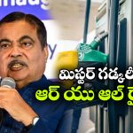 E20 పెట్రోల్‌ మైలేజ్ లొల్లి.. గడ్కరీ షాకింగ్ కామెంట్స్!