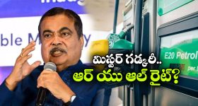 E20 పెట్రోల్‌ మైలేజ్ లొల్లి.. గడ్కరీ షాకింగ్ కామెంట్స్!