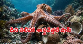 మీ స్మార్ట్‌ఫోన్ హ్యాక్ అవ్వకుండా ఉండాలంటే.. వెంటనే మార్చాల్సిన 5 సెట్టింగ్స్ ఇవే!