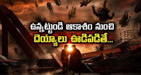 అడవిలో రైలు ప్రయాణం.. ప్రకృతి ప్రేమికులకు స్పెషల్ సఫారీ ట్రైన్