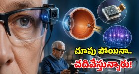 కంటిలో చిప్ పెడితే.. చూపు వచ్చేస్తుందట.. ఏమన్నా టెక్నాలజీనా!
