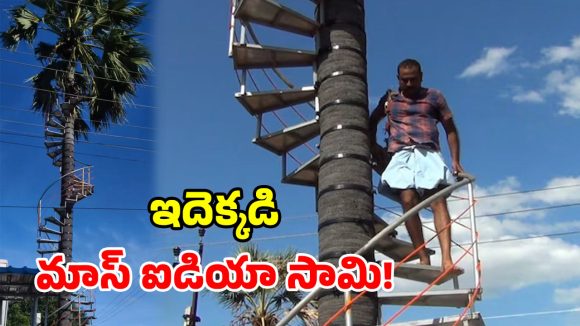ఇదేందయ్యా ఇది.. తాటిచెట్టుకు ఇనుప మెట్లా? ఈ రైతు తెలివికి సెల్యూట్!