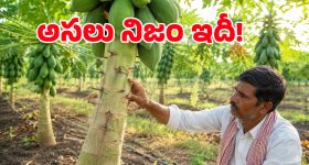థియేటర్ మీ ఇంట్లోనే.. ఫీచర్స్ చూస్తే మైండ్ బ్లాక్ అవ్వాల్సిందే!