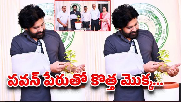 అరుదైన మొక్కకి పవన్ కళ్యాణ్ పేరు..అసలు స్టోరీ ఇదే!