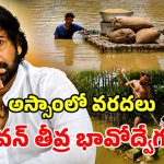 అస్సాం ప్రజలకు అండగా ఏపీ.. డిప్యూటీ సీఎం పవన్ కీలక వ్యాఖ్యలు!