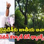 మడ అడవుల సంరక్షణలో ఆంధ్రప్రదేశ్ రికార్డు.. అటవీ శాఖకు పవన్ కళ్యాణ్ ప్రశంసలు