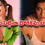 హాట్ పిక్స్ కావాలా? …ఇన్‌స్టాగ్రామ్ సబ్‌స్క్రిప్షన్‌పై పాయల్ రాజ్‌పుత్ స్ట్రాంగ్ కౌంటర్!