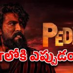 పెద్ది ఓటీటీ ఫ్యాన్స్‌కి షాక్.. నెట్‌ఫ్లిక్స్ రిలీజ్ డేట్ మారబోతుందా?