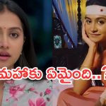 Podarillu Maha : ‘పొదరిల్లు’ మహా ఫ్యాన్స్ కు బ్యాడ్ న్యూస్.. ఆ గాయాలు ఏంటి..?