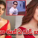 సల్మాన్ చాలా మంచోడబ్బా.. మిగతా హీరోలే .. పూజా హెగ్డే వైరల్ కామెంట్స్ !