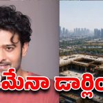 ప్రభాస్ 200 కోట్ల కోకాపేట ప్యాలెస్.. ఇల్లు కట్టేది పెళ్లి కోసమేనా?