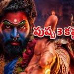 2030 తర్వాతే పుష్ప 3.. అసలు కారణం ఇదేనా?