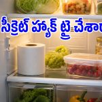 ఫ్రిడ్జ్ నుంచి దుర్వాసన వస్తోందా? అయితే టాయిలెట్ పేపర్ రోల్‌తో ఇలా చెక్ పెట్టండి!