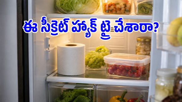 ఫ్రిడ్జ్ నుంచి దుర్వాసన వస్తోందా? అయితే టాయిలెట్ పేపర్ రోల్‌తో ఇలా చెక్ పెట్టండి!