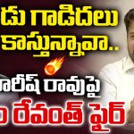 అన్నం తినేవాడెవడైనా అలా మాట్లాడతాడా? హరీష్‌రావుపై సీఎం రేవంత్ రెడ్డి ఫైర్!