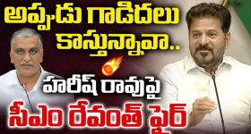 అన్నం తినేవాడెవడైనా అలా మాట్లాడతాడా? హరీష్‌రావుపై సీఎం రేవంత్ రెడ్డి ఫైర్!