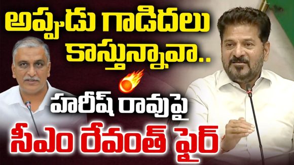 అన్నం తినేవాడెవడైనా అలా మాట్లాడతాడా? హరీష్‌రావుపై సీఎం రేవంత్ రెడ్డి ఫైర్!