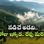 అక్కడ అడవులు నడుస్తాయట.. ఇదేం చిత్రం భయ్యా!