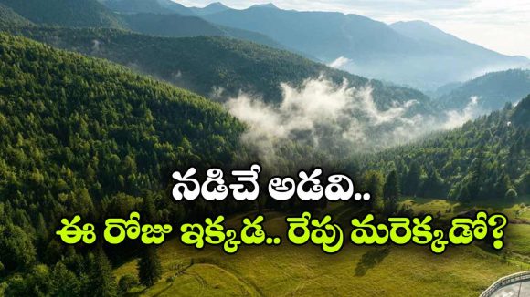 అక్కడ అడవులు నడుస్తాయట.. ఇదేం చిత్రం భయ్యా!