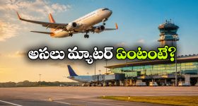 అక్కడ అడవులు నడుస్తాయట.. ఇదేం చిత్రం భయ్యా!