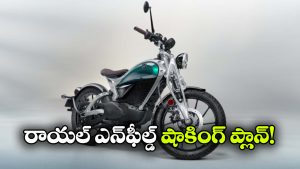 రాయల్ ఎన్‌ఫీల్డ్ డబుల్ గేమ్.. ఒకవైపు ఈవీలు.. మరోవైపు పెట్రోల్ బైక్‌లు!