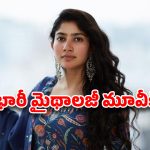 సాయి పల్లవి కెరీర్‌లో మరో బిగ్ టర్నింగ్.. భారీ సినిమాలో ఛాన్స్!