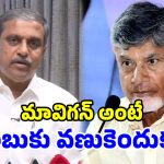 అమరావతి అసాధ్యం.. మావిగన్‌తోనే అభివృద్ధి సాధ్యం.. సజ్జల రామకృష్ణారెడ్డి