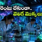రాత్రిపూట వెలిగే మొక్కలు వచ్చేశాయి.. ‘అవతార్‘ సినిమాలో చూసింది ఇప్పుడు నిజమైంది!