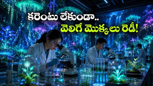 రాత్రిపూట వెలిగే మొక్కలు వచ్చేశాయి.. ‘అవతార్‘ సినిమాలో చూసింది ఇప్పుడు నిజమైంది!