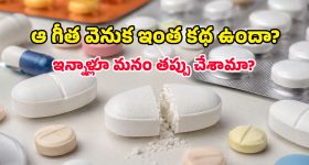 ఏంటీ.. విమానంలో టర్కీ కోడి డిన్నరా? 1949లో లగ్జరీ ఏ స్థాయిలో ఉండేదో తెలుసా?