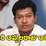 ఏపీ రాజకీయాల్లో మరో సంచలనం.. మాజీ మంత్రి సీదిరి అప్పలరాజు అరెస్టు