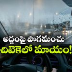 షాంపూ వాడితే ఫాగ్ మాయం.. కానీ, ఈ తప్పు అస్సలు చేయొద్దు!