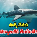 సముద్రపు సొరచేపలు.. టెక్నాలజీకి గొప్ప వరం.. ఈ ఆవిష్కరణలు చూస్తే మైండ్ బ్లాకే!