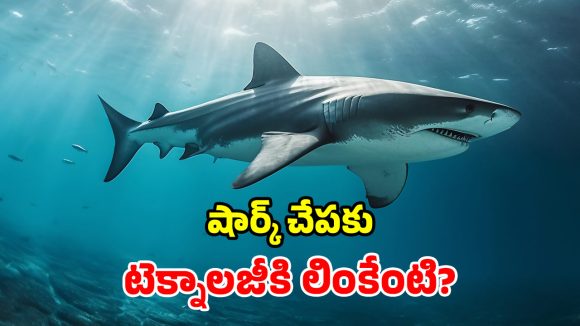 సముద్రపు సొరచేపలు.. టెక్నాలజీకి గొప్ప వరం.. ఈ ఆవిష్కరణలు చూస్తే మైండ్ బ్లాకే!