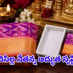 సిరిసిల్ల నేత అద్భుత ప్రతిభ.. అగ్గిపెట్టెలో పట్టే పట్టుచీర.. బరువు తెలిస్తే షాకవుతారు!