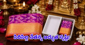 సిరిసిల్ల నేత అద్భుత ప్రతిభ.. అగ్గిపెట్టెలో పట్టే పట్టుచీర.. బరువు తెలిస్తే షాకవుతారు!