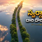 ఇదేందయ్యా ఇది.. ఇక్కడ కారు నడిపితే, ఆకాశంలో తేలినట్లే.. నెవర్ బిఫోర్ రోడ్డు!