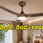 ప్రతినెలా కరెంటు బిల్లు సగం అవ్వాలా? లైట్, రిమోట్‌తో వచ్చే బెస్ట్ BLDC ఫ్యాన్లు ఇవే.. ఓ లుక్కేయండి!