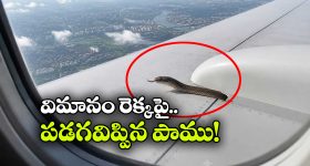 జపాన్‌ను వణికించిన భారీ భూకంపం.. తీవ్రత 7.1 గా నమోదు, వందలాది బుల్లెట్ రైళ్లు రద్దు