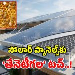 బరువు సగం.. బలం డబుల్.. సౌర విద్యుత్ రంగంలో ‘తేనెపట్టు’ మ్యాజిక్!